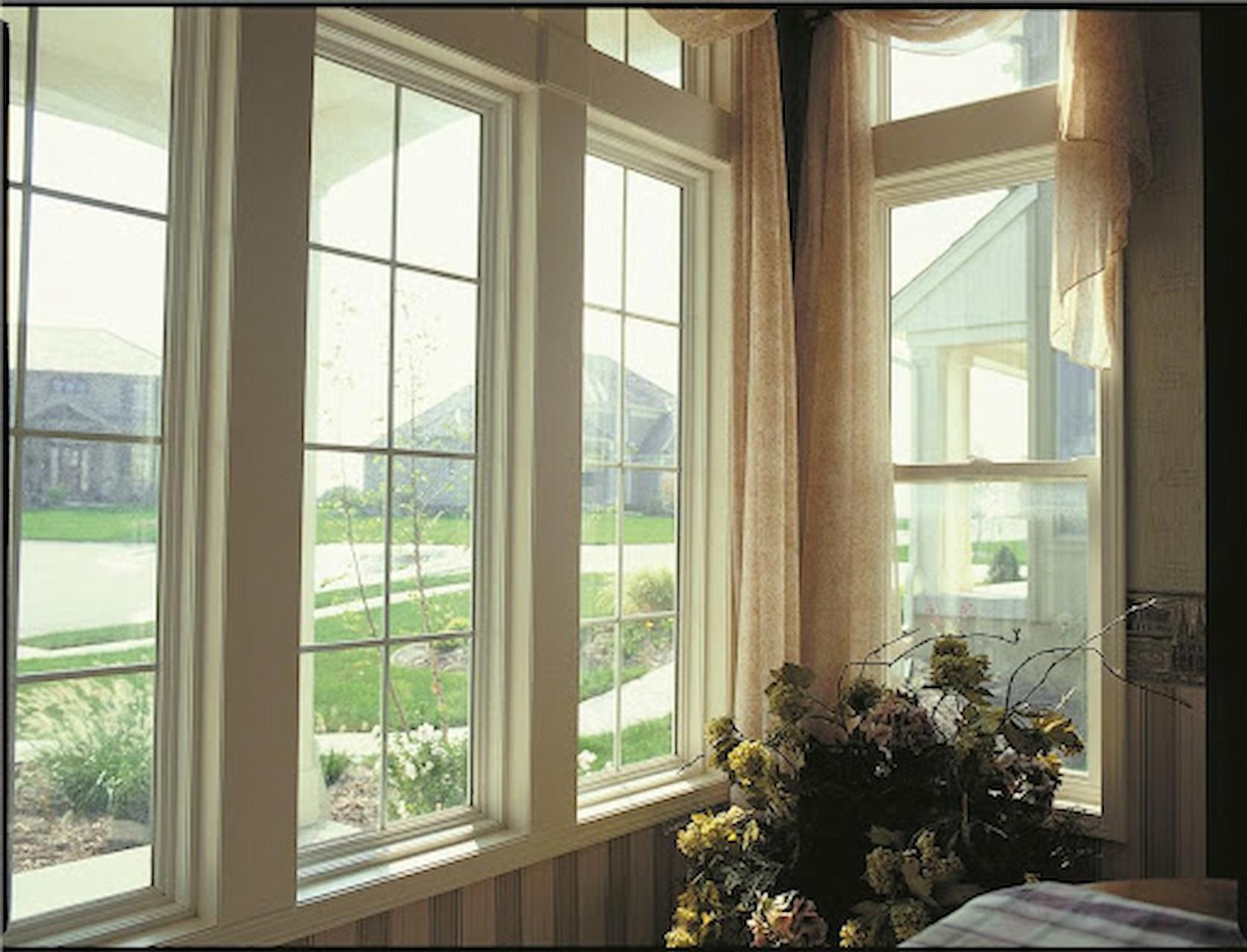 Window Replacement: Essential Tips For Beginners