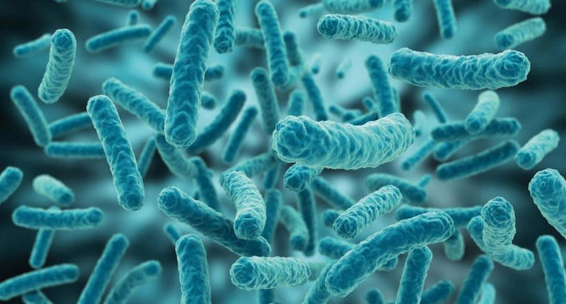 From Where Can You Get The Assessment Done For Legionella Risk?