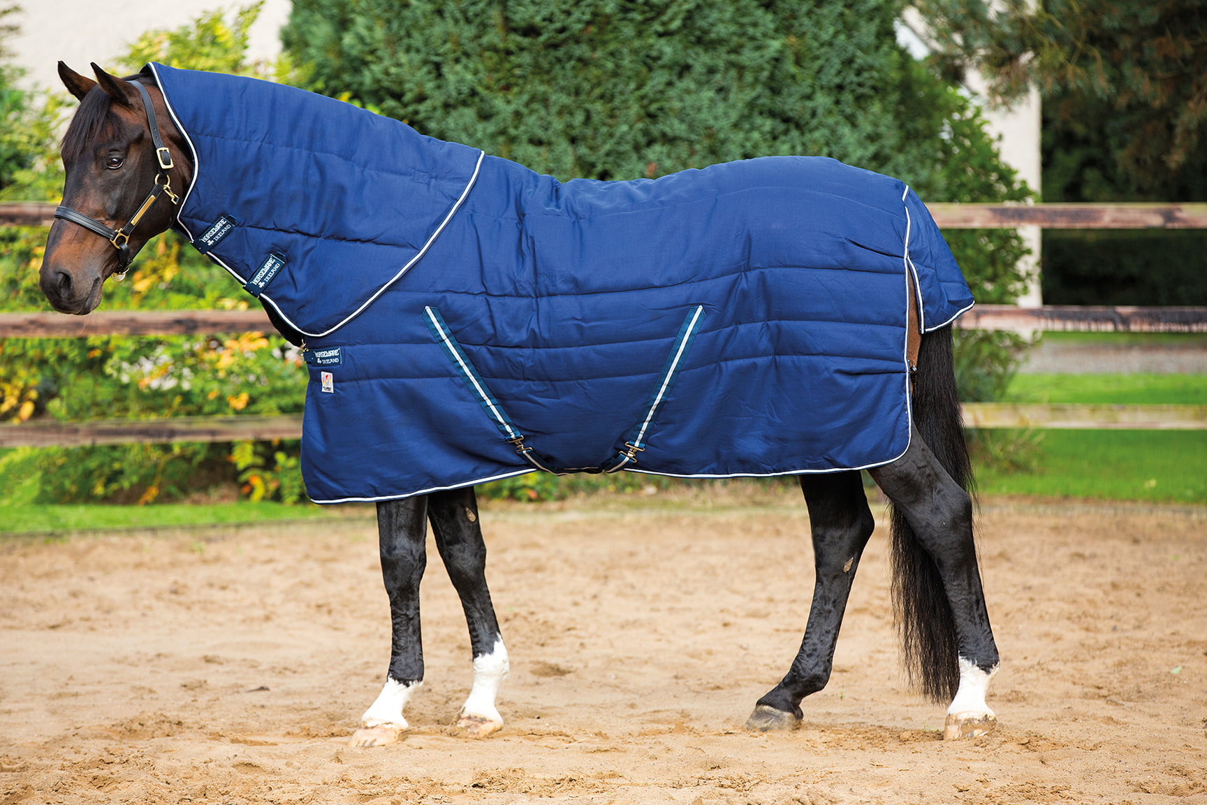 Choosing The Perfect Middleweight Rug For When The Weather Turns Colder